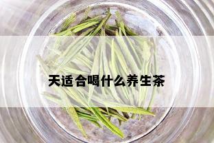 天适合喝什么养生茶