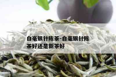 白毫银针陈茶-白毫银针陈茶好还是新茶好