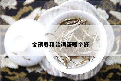 金银眉和普洱茶哪个好