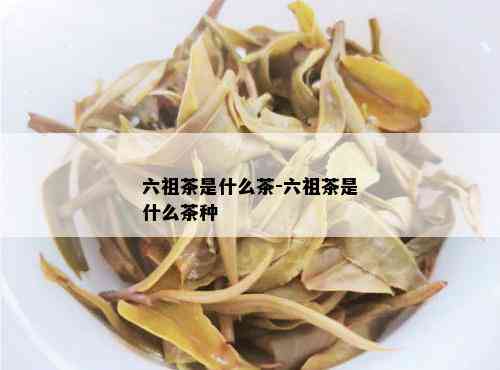 六祖茶是什么茶-六祖茶是什么茶种