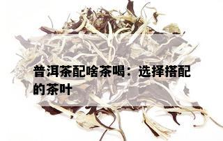 普洱茶配啥茶喝：选择搭配的茶叶