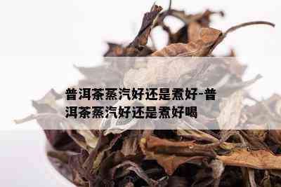 普洱茶蒸汽好还是煮好-普洱茶蒸汽好还是煮好喝