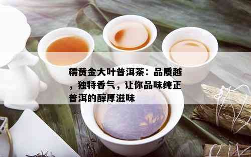 糯黄金大叶普洱茶：品质越，独特香气，让你品味纯正普洱的醇厚滋味