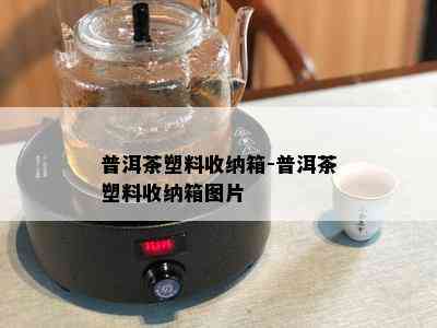 普洱茶塑料收纳箱-普洱茶塑料收纳箱图片