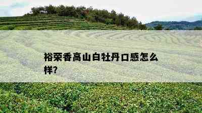 裕荣香高山白牡丹口感怎么样？