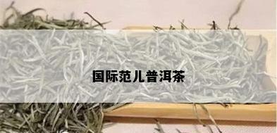 国际范儿普洱茶