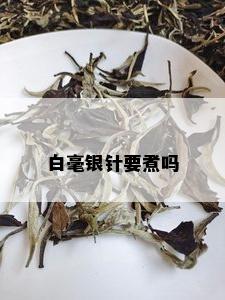 白毫银针要煮吗