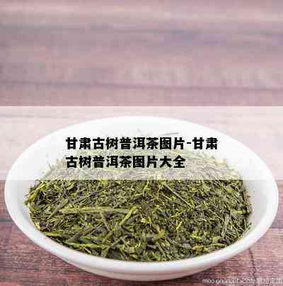 甘肃古树普洱茶图片-甘肃古树普洱茶图片大全