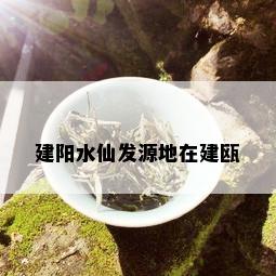 建阳水仙发源地在建瓯