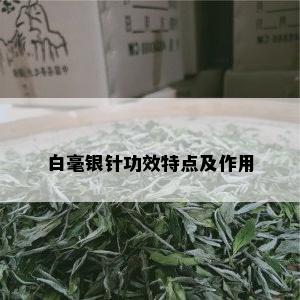 白毫银针功效特点及作用