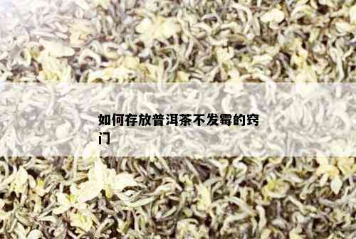 如何存放普洱茶不发霉的窍门