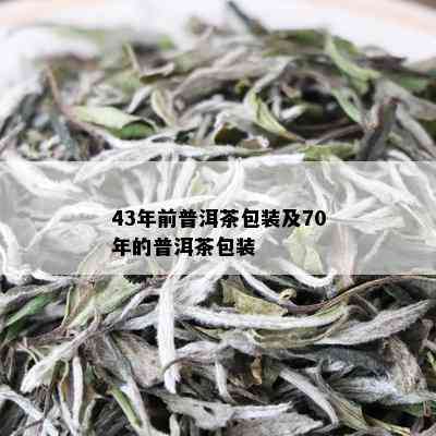 43年前普洱茶包装及70年的普洱茶包装