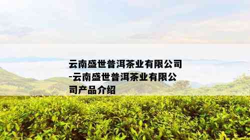 云南盛世普洱茶业有限公司-云南盛世普洱茶业有限公司产品介绍