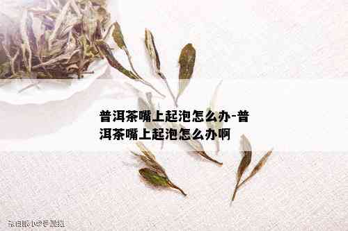 普洱茶嘴上起泡怎么办-普洱茶嘴上起泡怎么办啊