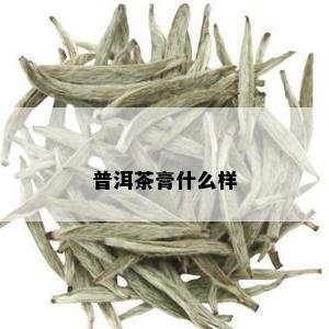 普洱茶膏什么样