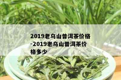 2019老乌山普洱茶价格-2019老乌山普洱茶价格多少