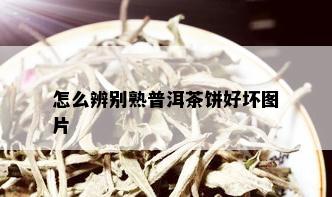 怎么辨别熟普洱茶饼好坏图片