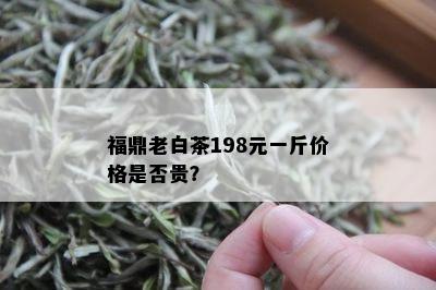 福鼎老白茶198元一斤价格是否贵？