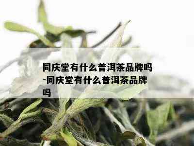 同庆堂有什么普洱茶品牌吗-同庆堂有什么普洱茶品牌吗