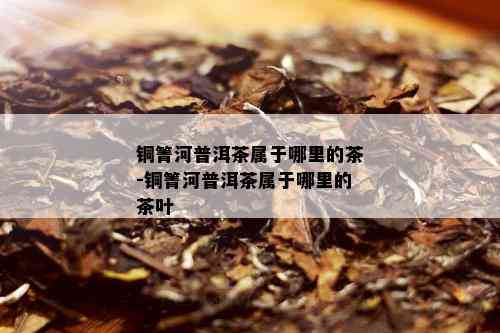 铜箐河普洱茶属于哪里的茶-铜箐河普洱茶属于哪里的茶叶