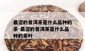 最涩的普洱茶是什么品种的茶-最涩的普洱茶是什么品种的茶叶