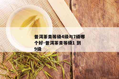 普洱茶青等级4级与7级哪个好-普洱茶青等级1 到9级