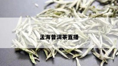 孟海普洱茶直播