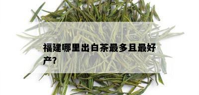 福建哪里出白茶最多且更好产？