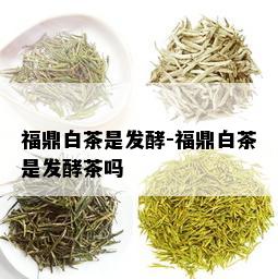 福鼎白茶是发酵-福鼎白茶是发酵茶吗