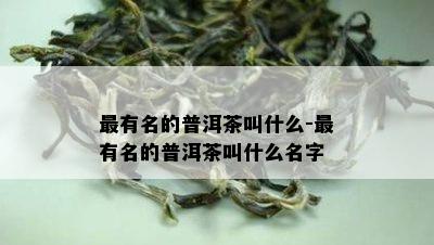 最有名的普洱茶叫什么-最有名的普洱茶叫什么名字