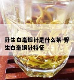 野生白毫银针是什么茶-野生白毫银针特征