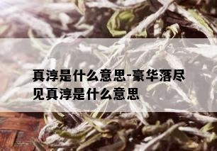 真淳是什么意思-豪华落尽见真淳是什么意思