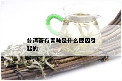 普洱茶有青味是什么原因引起的