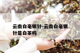 云南白毫银针-云南白毫银针是白茶吗