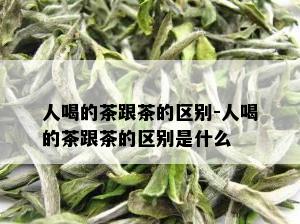 人喝的茶跟茶的区别-人喝的茶跟茶的区别是什么