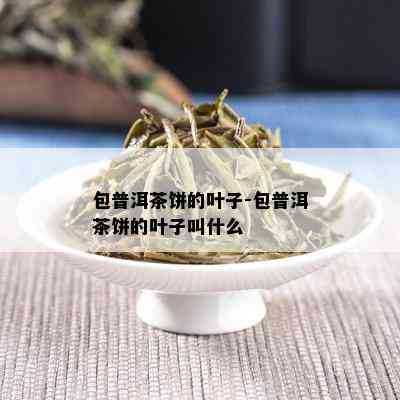 包普洱茶饼的叶子-包普洱茶饼的叶子叫什么