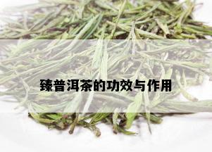 臻普洱茶的功效与作用