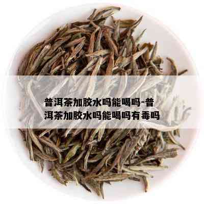 普洱茶加胶水吗能喝吗-普洱茶加胶水吗能喝吗有吗