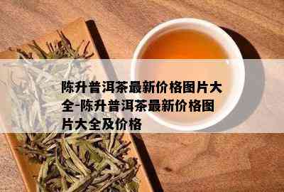 陈升普洱茶最新价格图片大全-陈升普洱茶最新价格图片大全及价格