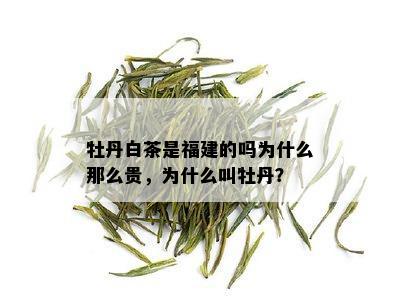 牡丹白茶是福建的吗为什么那么贵，为什么叫牡丹？