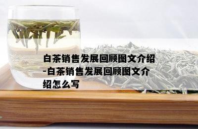 白茶销售发展回顾图文介绍-白茶销售发展回顾图文介绍怎么写