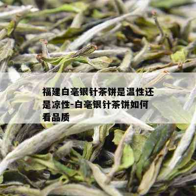 福建白毫银针茶饼是温性还是凉性-白毫银针茶饼如何看品质