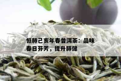 恒肺己亥年春普洱茶：品味春日芬芳，提升肺健