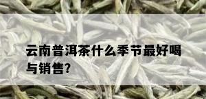 云南普洱茶什么季节更好喝与销售？