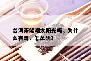 普洱茶能晒太阳光吗，为什么有，怎么晒？