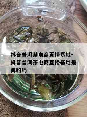 抖音普洱茶电商直播基地-抖音普洱茶电商直播基地是真的吗