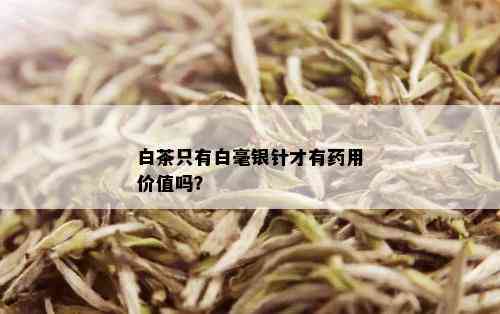 白茶只有白毫银针才有药用价值吗？