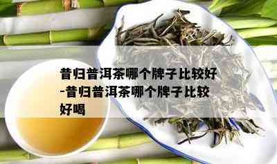 昔归普洱茶哪个牌子比较好-昔归普洱茶哪个牌子比较好喝