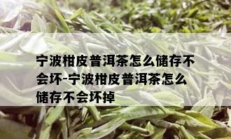 宁波柑皮普洱茶怎么储存不会坏-宁波柑皮普洱茶怎么储存不会坏掉