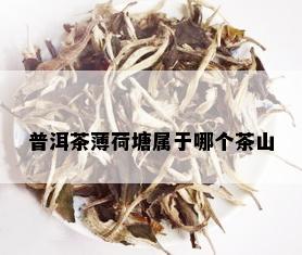 普洱茶薄荷塘属于哪个茶山